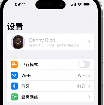 鹤庆appleID维修服务iPhone设置中Apple ID显示为灰色无法使用