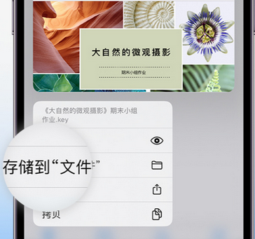 鹤庆apple维修中心分享iPhone文件应用中存储和找到下载文件