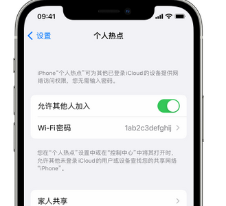 鹤庆apple服务站点分享iPhone上个人热点丢失了怎么办