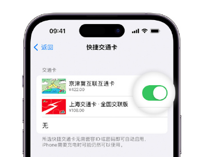 鹤庆apple维修点分享iPhone上更换Apple Pay快捷交通卡手绘卡面 