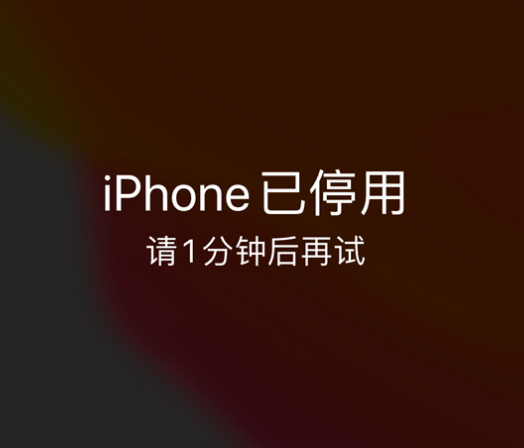 鹤庆苹果手机维修分享:iPhone 显示“不可用”或“已停用”怎么办？还能保留数据吗？ 