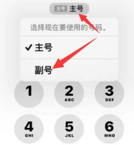 鹤庆苹果14维修店分享iPhone 14 Pro Max使用副卡打电话的方法 