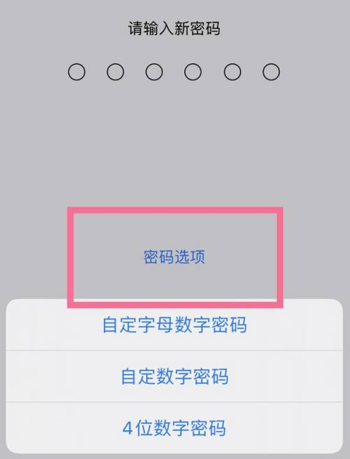 鹤庆苹果14维修分享iPhone 14plus设置密码的方法 