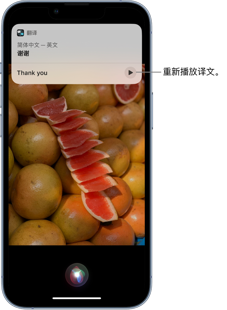 鹤庆苹果14维修分享 iPhone 14 机型中使用 Siri：了解 Siri 能帮你做什么 