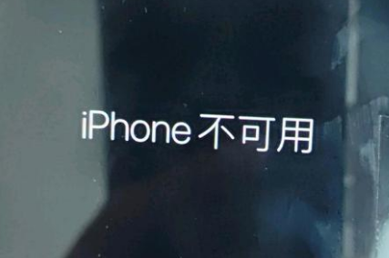 鹤庆苹果服务网点分享锁屏界面显示“iPhone 不可用”如何解决 