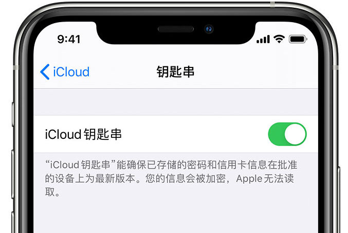 鹤庆苹果手机维修分享在 iPhone 上开启 iCloud 钥匙串之后会储存哪些信息 