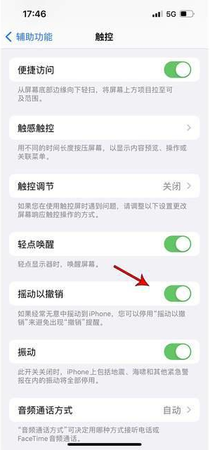 鹤庆苹果手机维修分享iPhone手机如何设置摇一摇删除文字 