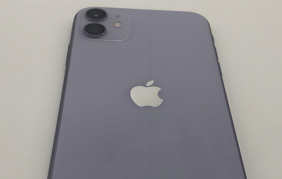 鹤庆苹果11系统维修分享iPhone11手机系统崩溃无法开机如何解决